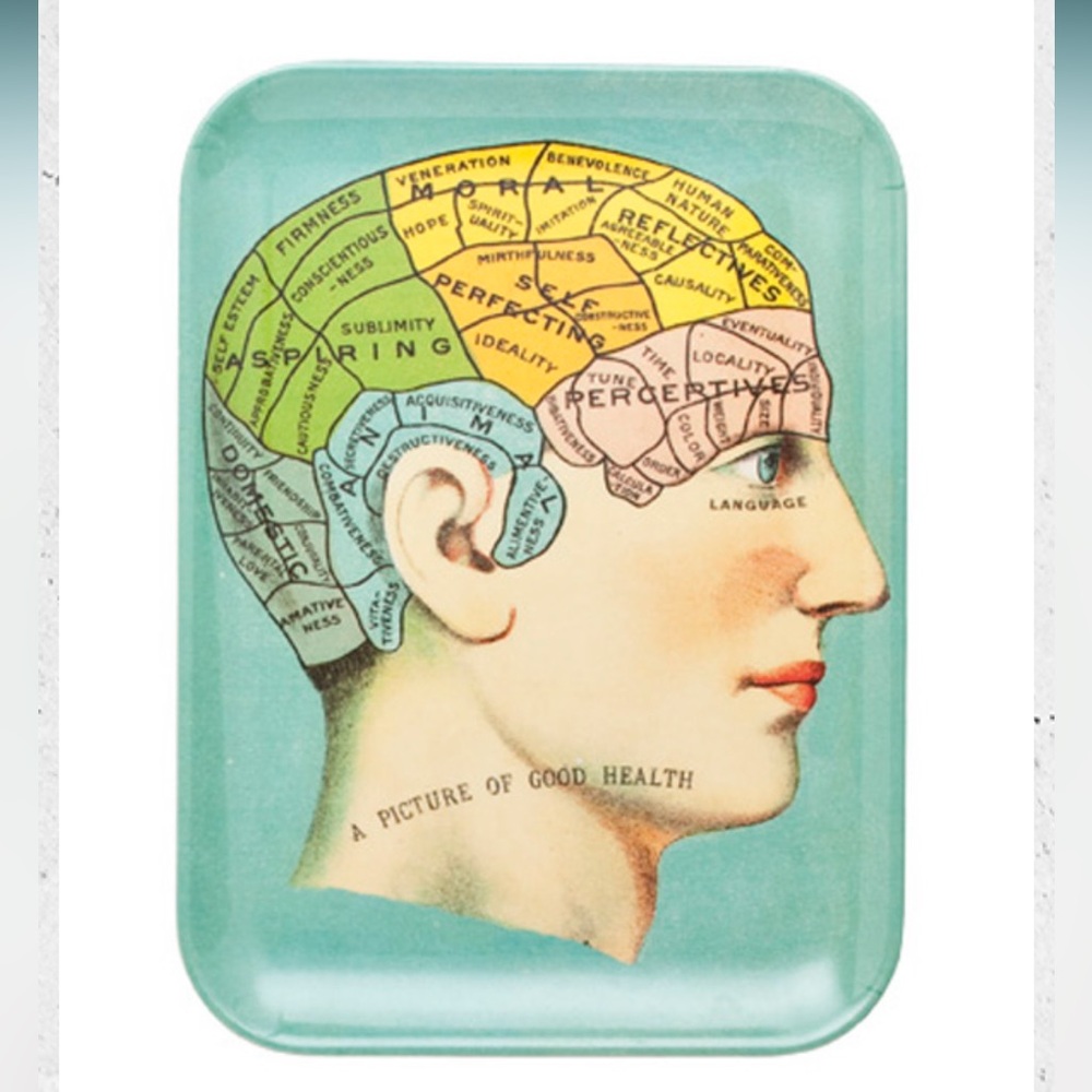 John Derian X Target PHRENOLOGY "Picture Of Health" Melamine Tray
